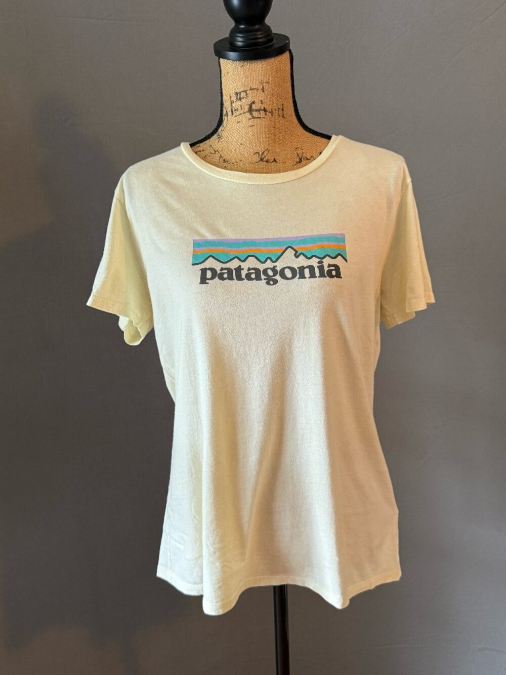 Women's fitted Patagonia t-shirt
